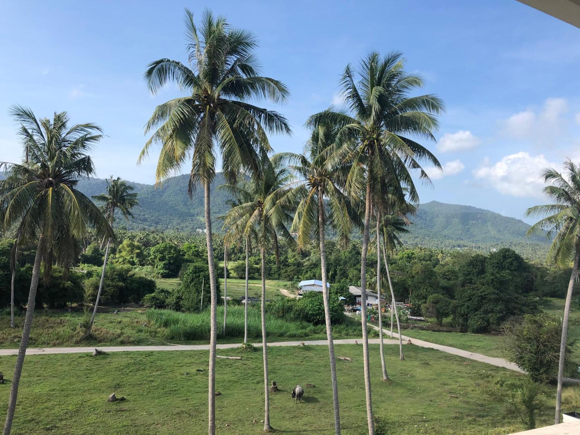 Amarin Samui Hotel - Sha Plus Certified Mae Nam Εξωτερικό φωτογραφία